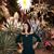 Melissa Johnson's profile image