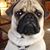 Shelly Long Wright's profile image