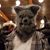 Steven Christian's profile image