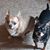 Vickie Canter Childers's profile image