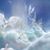 Joyce DeAngelis Piccininni's profile image