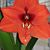 Sandy Beasley's profile image