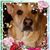 Ola Kuzian-Lorello's profile image