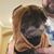 Kristi Caudill LaZur's profile image