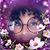 Sonya Williams's profile image