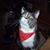 Rebecca Baxter's profile image
