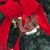 Amy Olsen Clark's profile image
