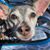 Caitlin Malone's profile image