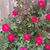 Donna Rugar Brown's profile image