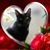 Sonja Hackett's profile image