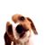 Jay Seay's profile image