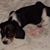 Gloria Garretson's profile image