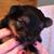Cherie Prigmore's profile image