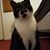 Linda Langolf Reynolds's profile image