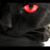 Jennie Cain's profile image
