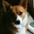 Heidi Tiller Gehlhaart's profile image