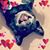 Jenny Kissler Dowen's profile image
