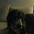 Kelly Vollmer's profile image