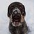 Vicki Gabrelcik Hickman's profile image