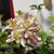 Kimberly Sav's profile image