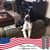 Sandy Lee Younger's profile image