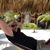 Dave Hesse's profile image