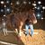 Joanne Marie Unis's profile image