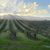 Tomara Buhr's profile image