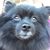 Leonor Fernandez's profile image