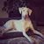 Amy Akerlind's profile image