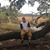 Peter Samuel's profile image