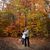 Laura Waters Sauer's profile image