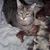 Heidi Leming's profile image