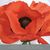 Linda Bogle Gunn's profile image