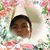 Arcelia Paz's profile image
