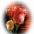 Rosa Guadalupe Domínguez Escalante's profile image
