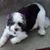 Geri Keim's profile image