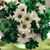 Terry Stockdale Jones's profile image