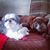 Tina Marie Sell's profile image