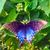 Hope Goodwin's profile image
