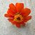 Vicki Hopson's profile image