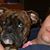 Dustin Swartz's profile image