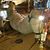 Brian Fetzer's profile image