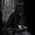 Charo Carrillo's profile image
