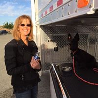 Jeannie Carlisle's profile image