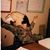 Alain J Laverdure's profile image
