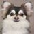 Roberta Morrison's profile image