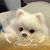 Gabriel N Nancy's profile image