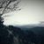 Candy Heath's profile image