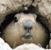 Steve Colaianni's profile image